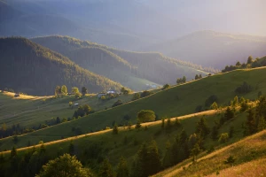 Zrównoważone zamówienia publiczne (green procurement) — praktyczne wskazówki