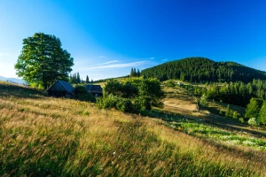 Serwis i przegląd klimatyzacji w Pruszkowie — jak często i za ile?